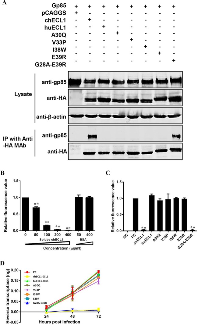 FIG 6