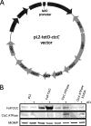 FIG 2
