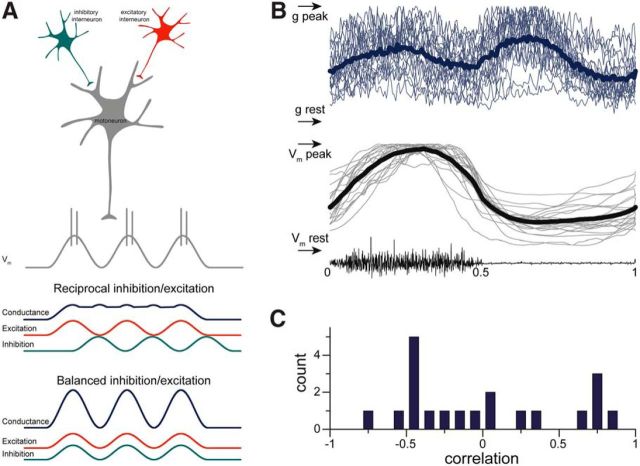 Figure 10.