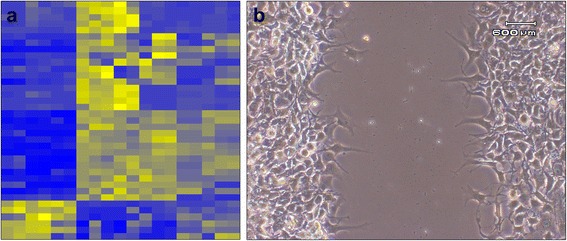 Fig. 8