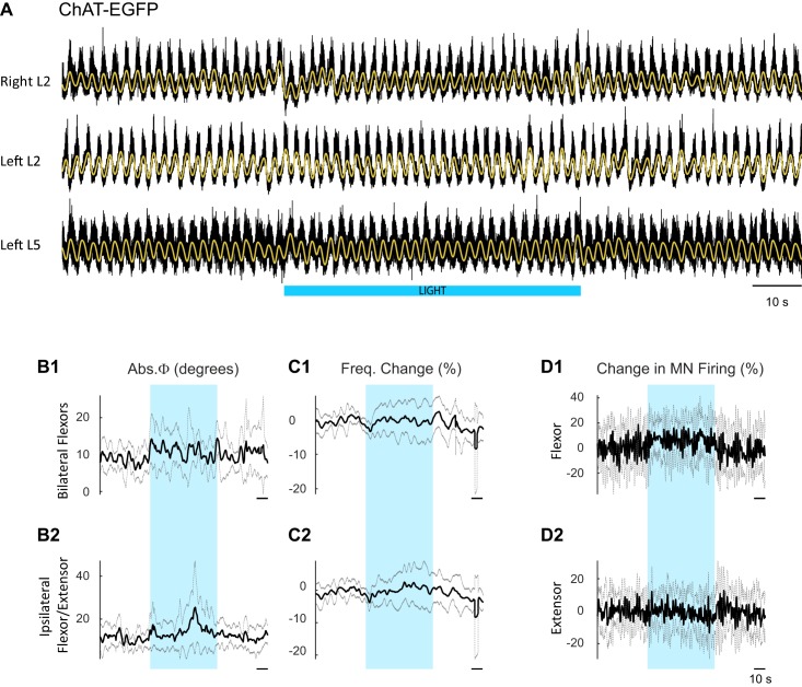 Figure 5—figure supplement 1.