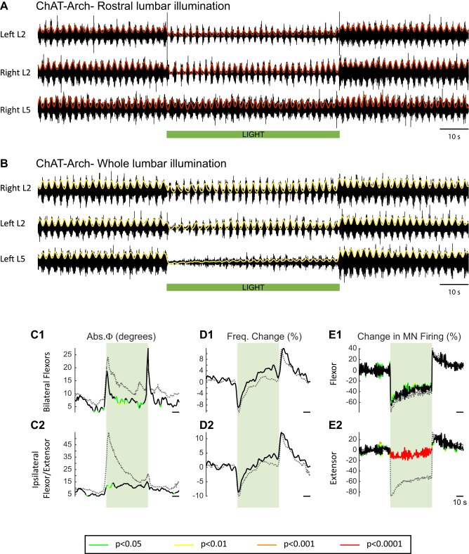 Figure 4—figure supplement 3.