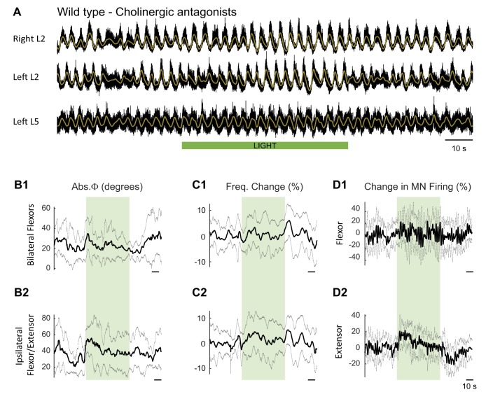 Figure 6—figure supplement 1.