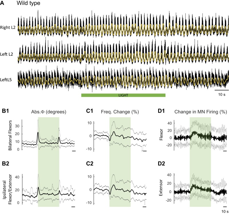 Figure 2—figure supplement 1.