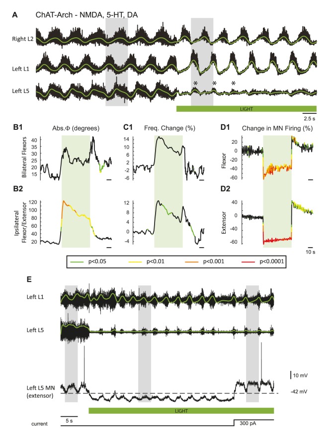 Figure 3—figure supplement 1.