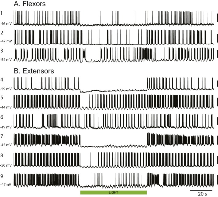 Figure 4—figure supplement 2.