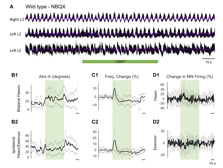 Figure 9—figure supplement 1.