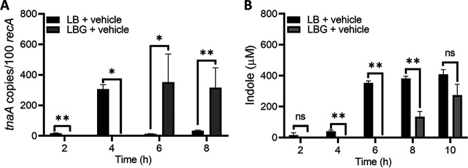 FIG 2