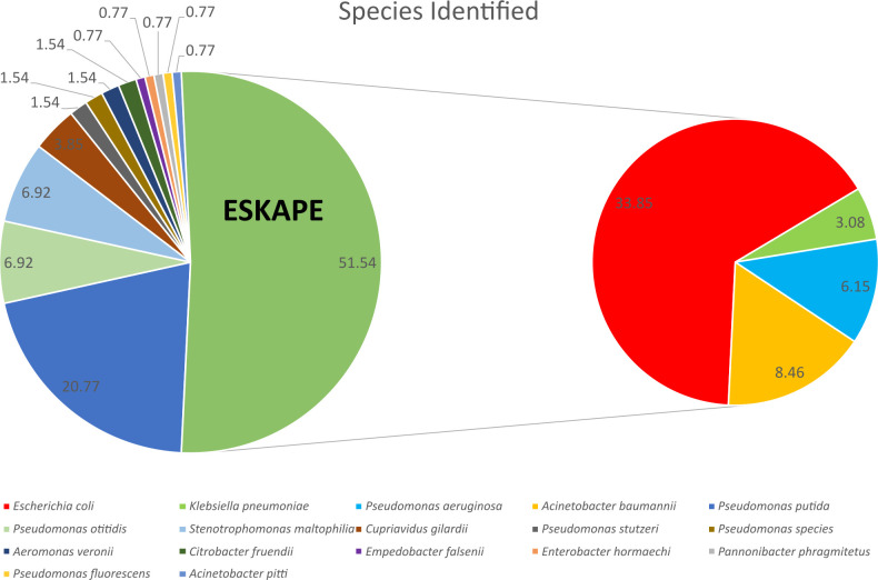 Pie charts present identified species proportions, with the largest segment labeled ESKAPE at 52.31 percent. Other species include Klebsiella pneumoniae at 20.77 percent and Acinetobacter baumannii at 6.92 percent, with remaining species under 5 percent.