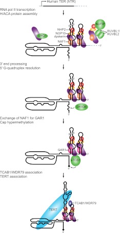 FIGURE 5.