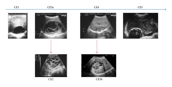 Figure 7