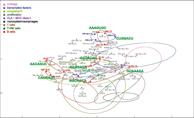 Fig. 13