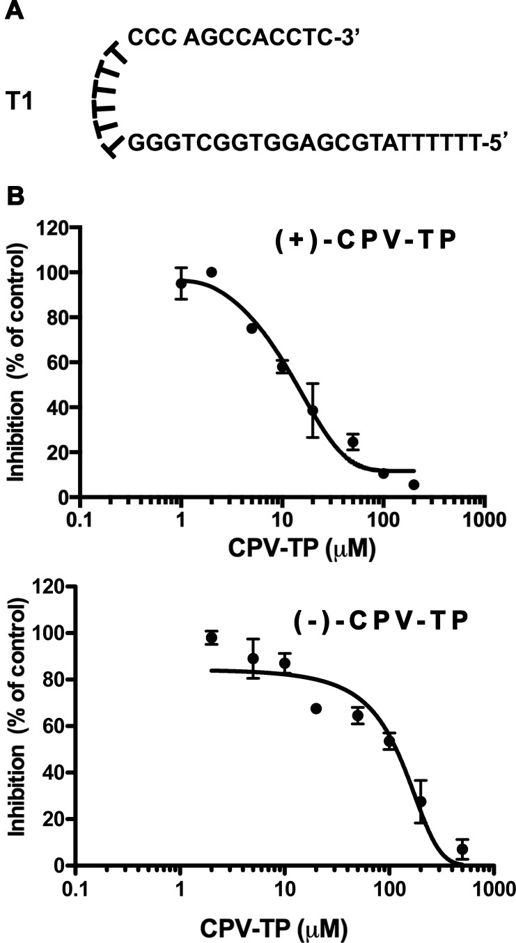 FIG 2