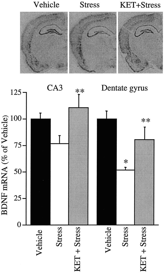 Fig. 9.