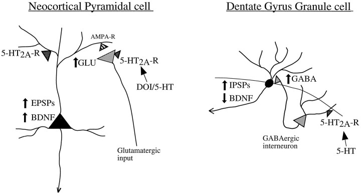 Fig. 10.