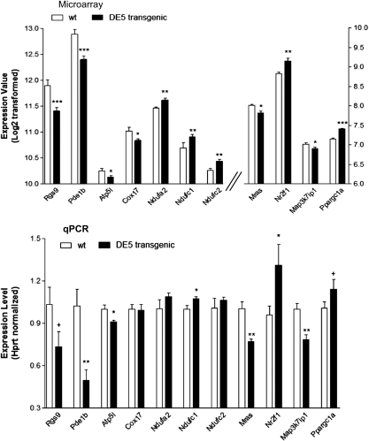 Figure 6.