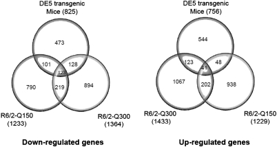 Figure 2.