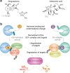 Fig. 1