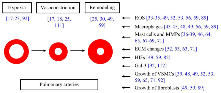 Fig. 11