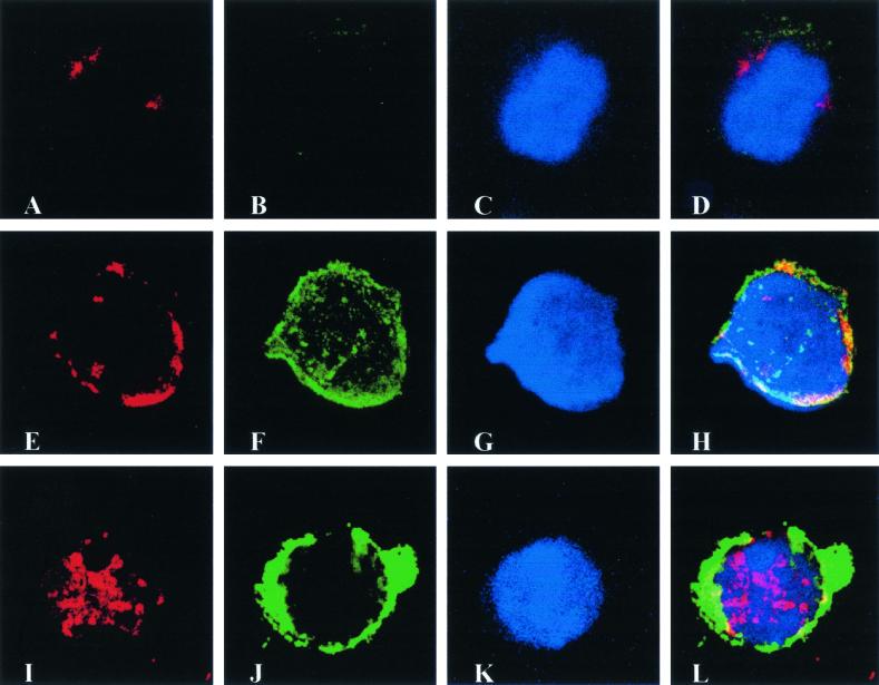 FIG. 10.