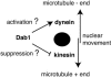 FIG. 7.