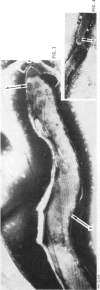 226-4