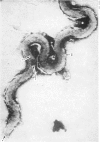 226-2