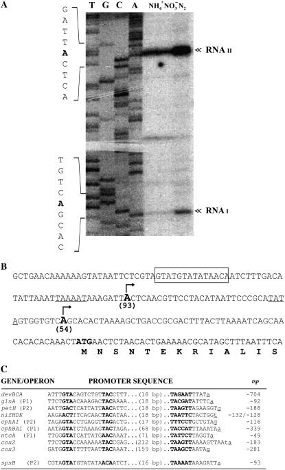 Figure 7.