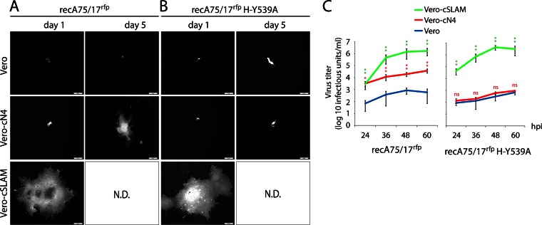 FIG 4