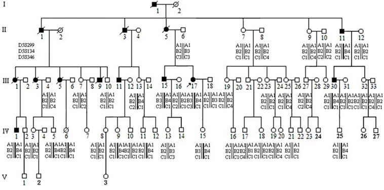 FIGURE 1