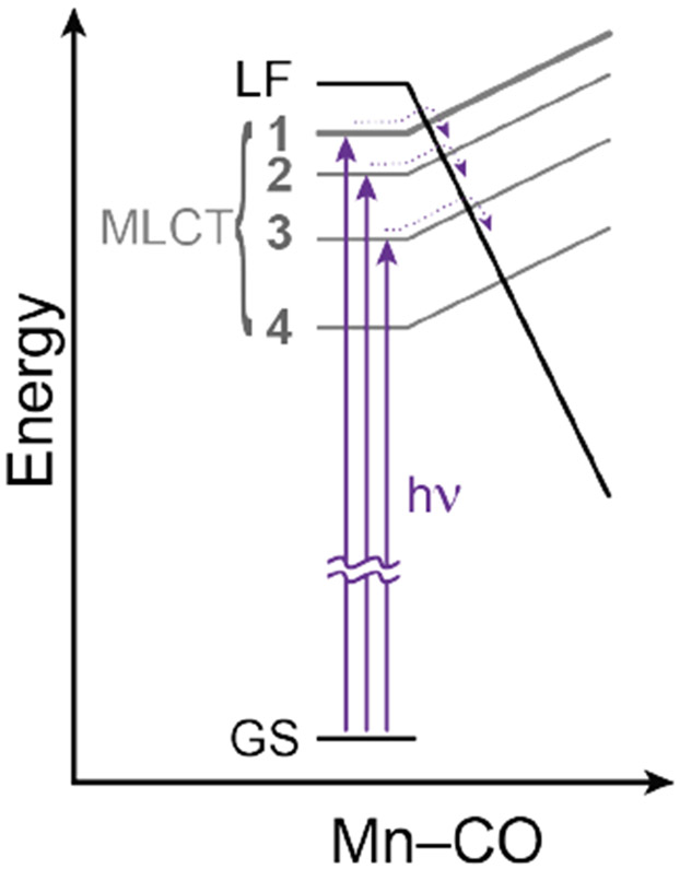 Figure 3: