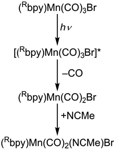 Scheme 1: