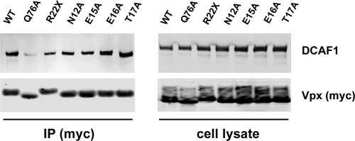 FIG. 6.