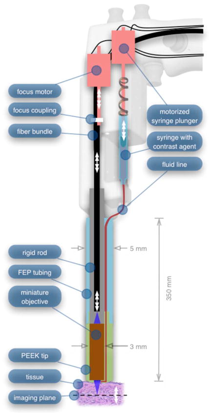 Fig. 12