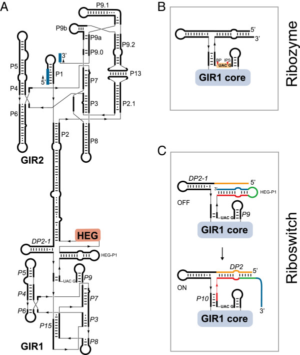 Figure 5