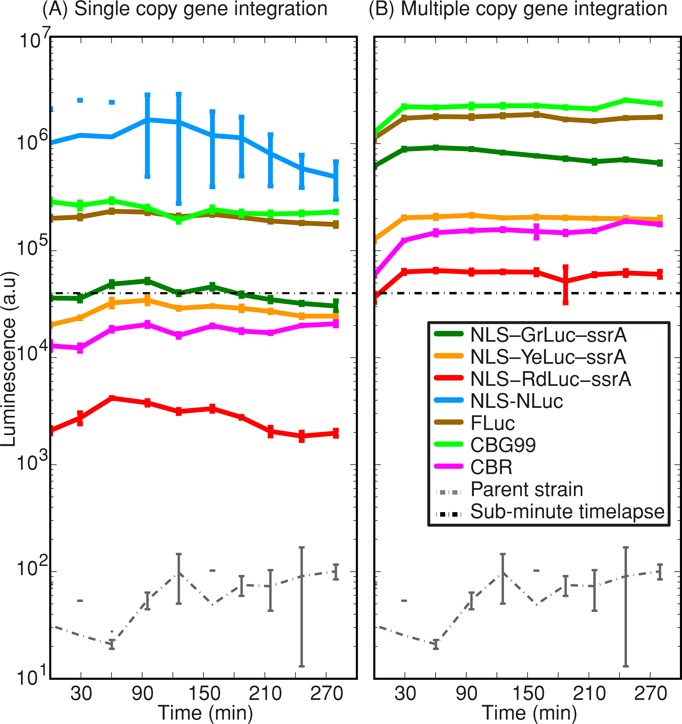 FIGURE 3: