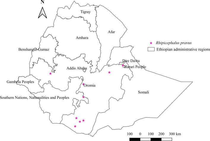 Fig. 14
