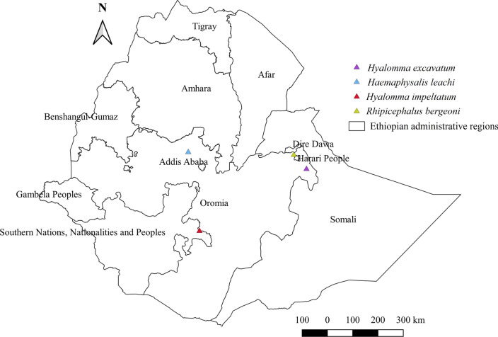 Fig. 18