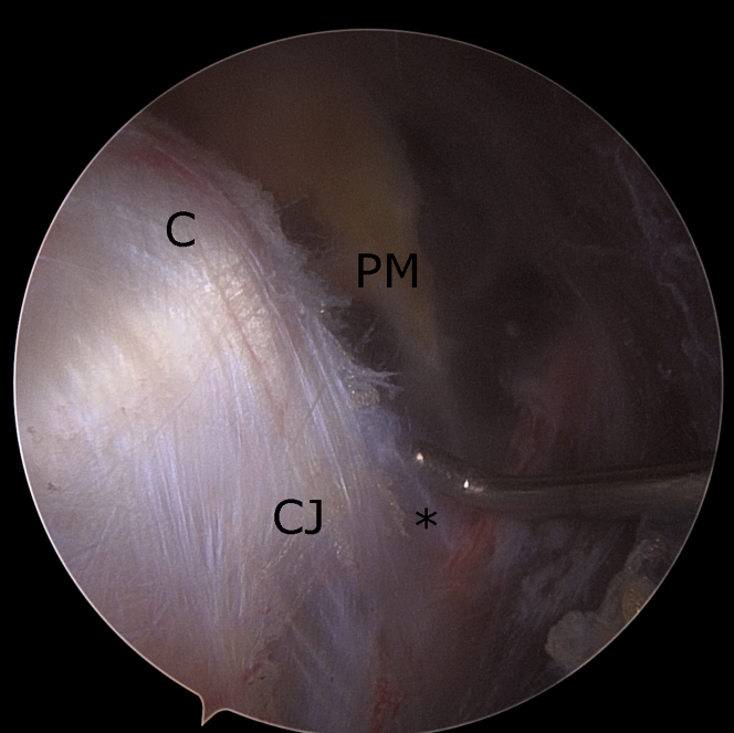Figure 7