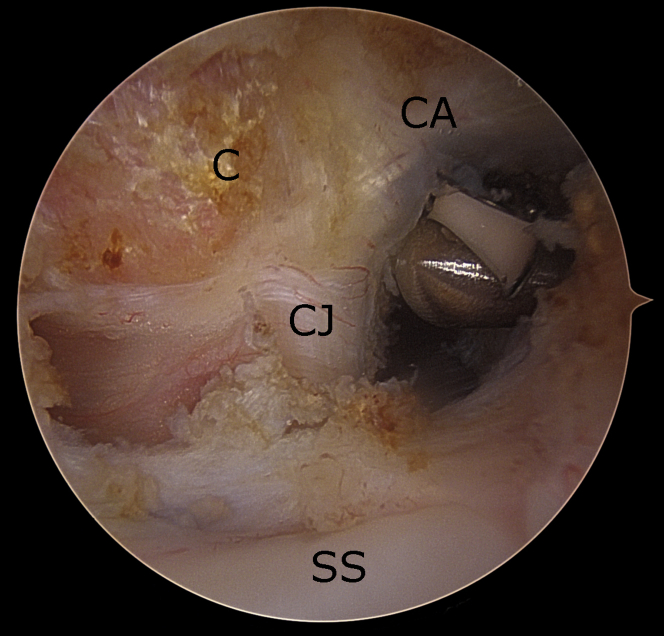 Figure 2