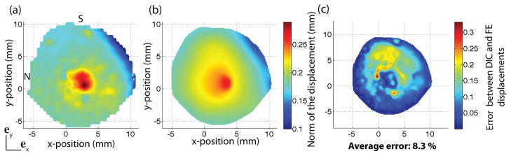 Fig. 19