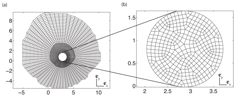 Fig. 5