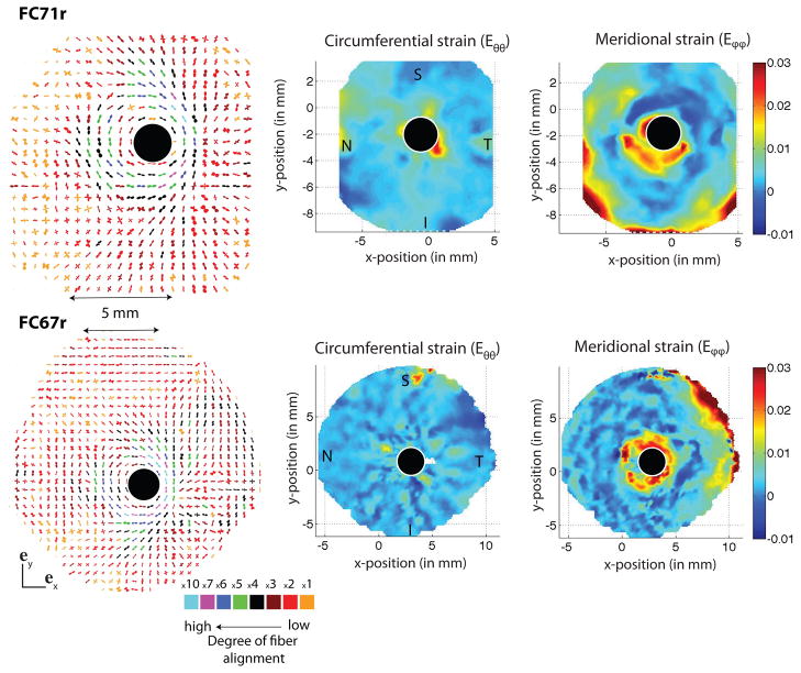 Fig. 11