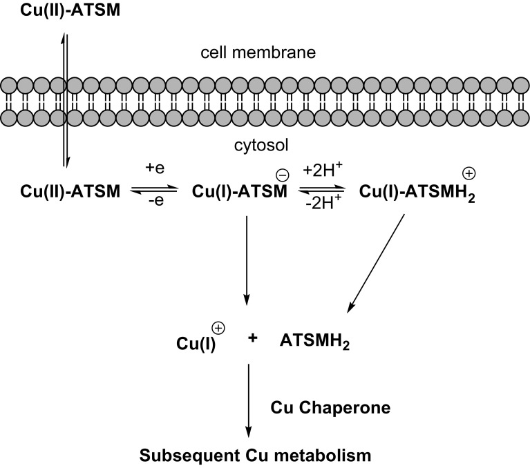 Fig. 6