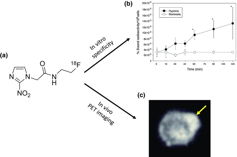 Fig. 4