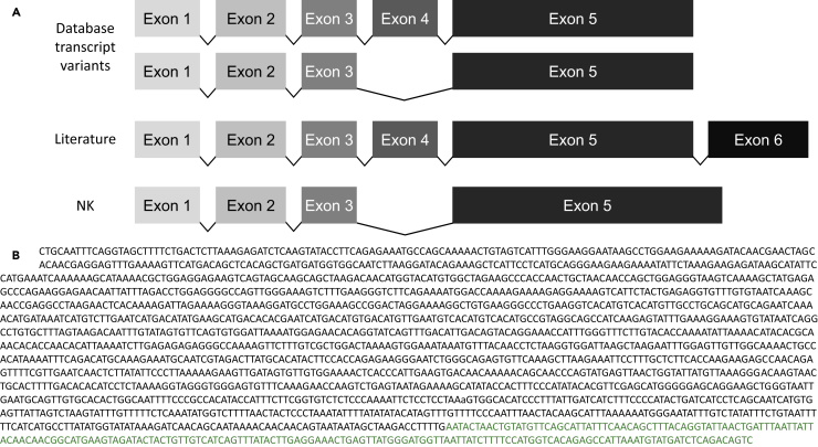 Figure 2