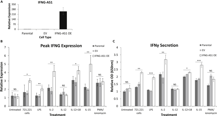 Figure 4