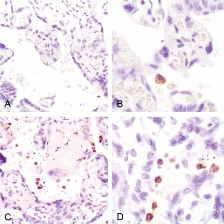 Figure 3.