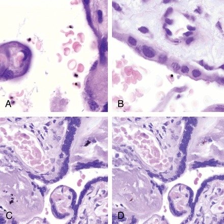 Figure 1.