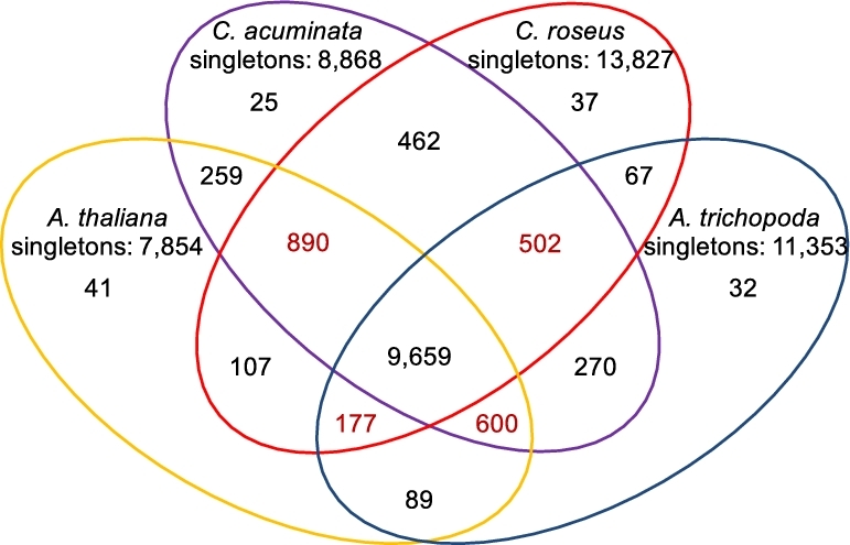 Figure 3: